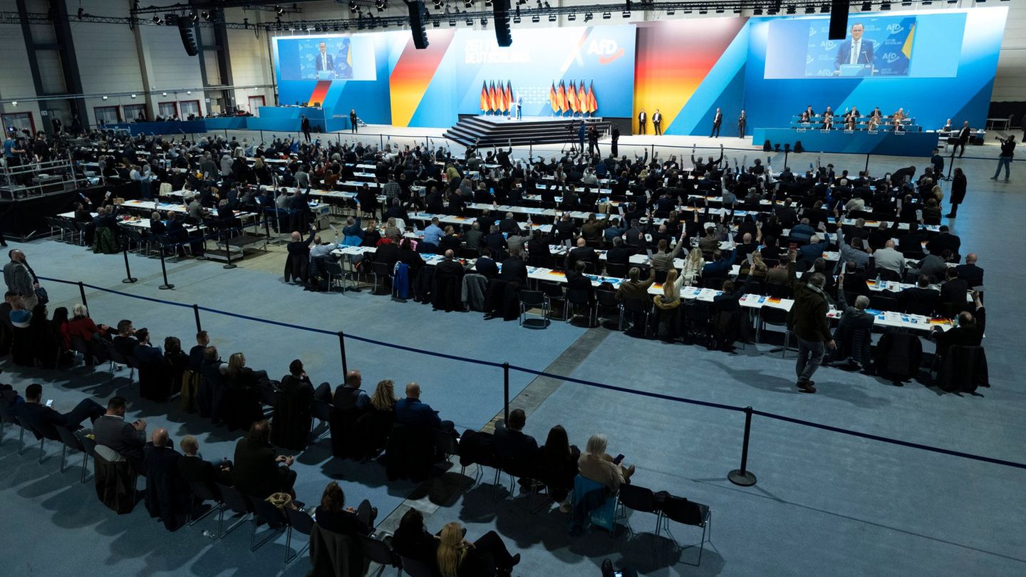 Stundenlang wird auf dem AfD-Parteitag über das Programm zur Bundestagswahl debattiert. Foto: Sebastian Kahnert/dpa