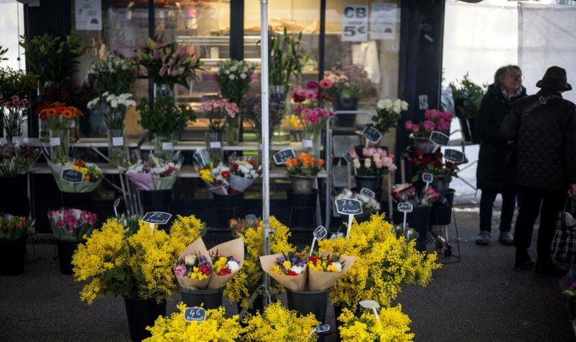 Pesticides dans les fleurs : une première étude pour évaluer les risques liés à l’exposition des professionnels