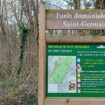 Pollution au plastique : des associations portent plainte et alertent sur l’état des forêts en Île-de-France