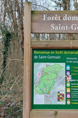 Pollution au plastique : des associations portent plainte et alertent sur l’état des forêts en Île-de-France