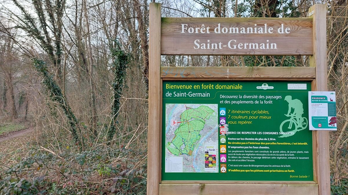 Pollution au plastique : des associations portent plainte et alertent sur l’état des forêts en Île-de-France