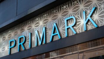 Primark's new £16 jumper 'so gorgeous' it 'could be from Zara or Massimo Dutti'