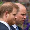 Prince Harry and William won't inherit Diana's childhood home as loophole sees it handed to actor