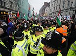 Pro-Palestinian protesters force their way through police lines as Met rush in reinforcements and arrest eight in London demo despite Gaza ceasefire deal