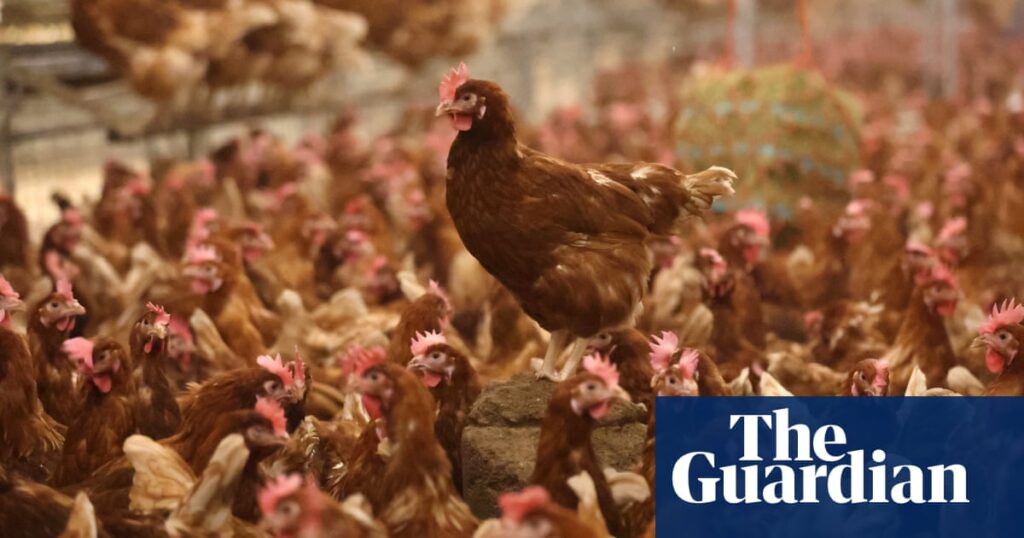 Protection zone set up after outbreak of bird flu in Angus