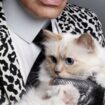 Que devient Choupette Lagerfeld ?