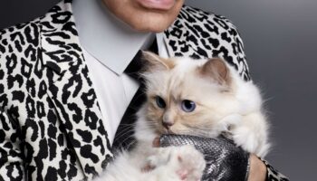 Que devient Choupette Lagerfeld ?