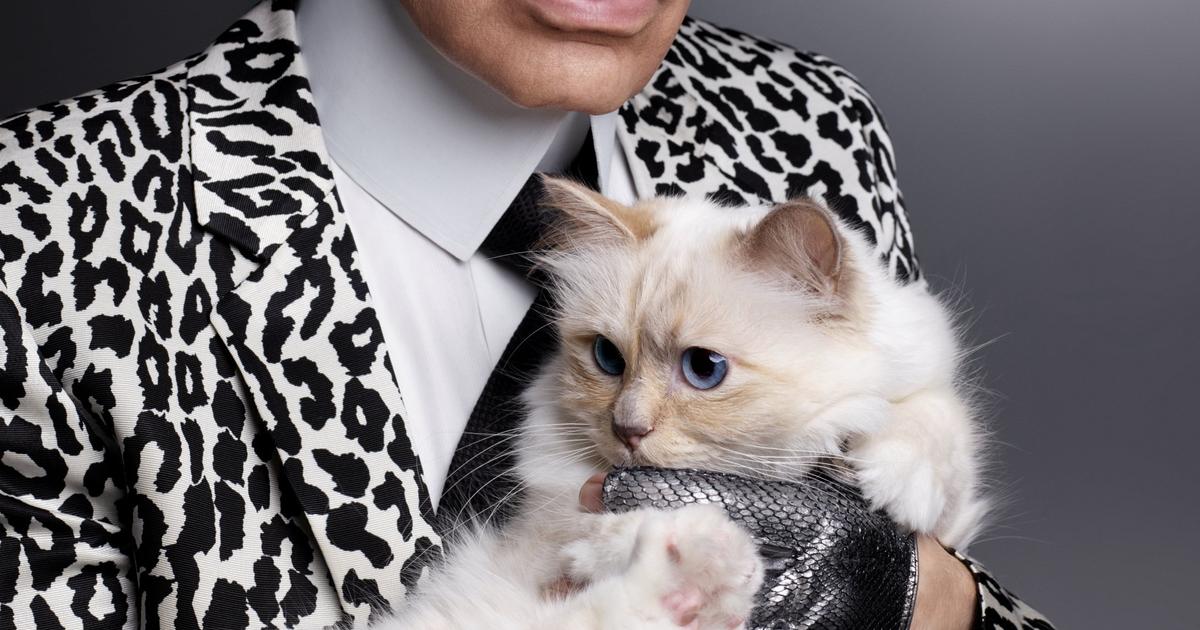 Que devient Choupette Lagerfeld ?