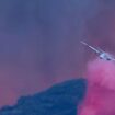 Qué es el polvo rosa con el que se combaten los incendios en Los Ángeles