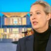 RTL-Kandidatencheck: Als es um konkrete Zahlen geht, verliert Weidel kurz die Fassung