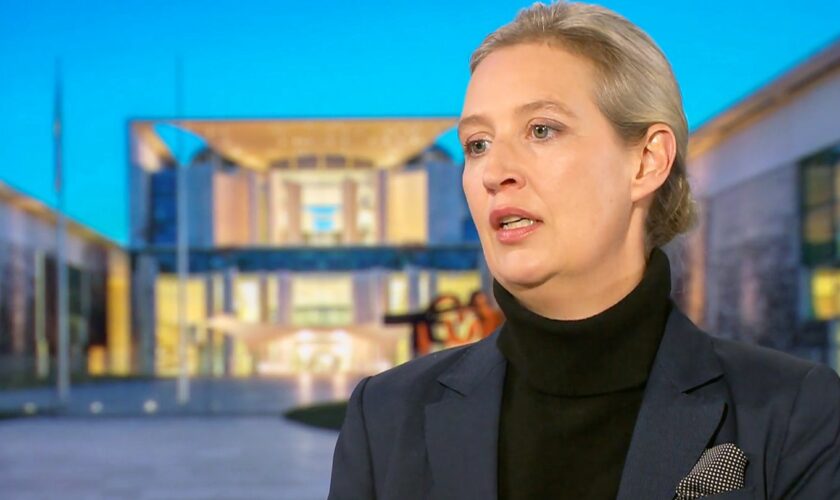 RTL-Kandidatencheck: Als es um konkrete Zahlen geht, verliert Weidel kurz die Fassung