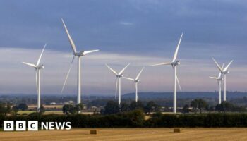 Record year for wind power in 2024