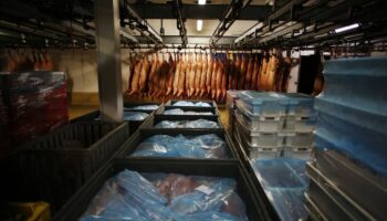 Rhône : la préfecture demande une « inspection approfondie » d’un abattoir dénoncé par L214