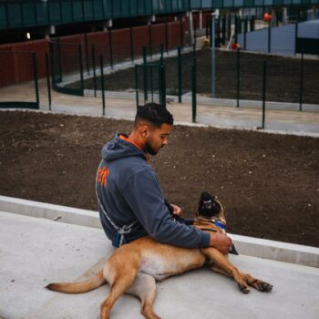 SPA : quelque 40.000 animaux de compagnie adoptés en 2024, les chiens en difficulté