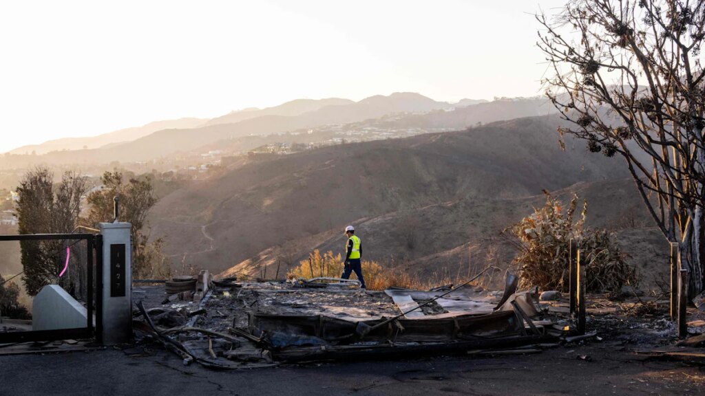 Schriftsteller T. C. Boyle über die Feuer in Los Angeles: Du kannst nicht jedes Mal Glück haben