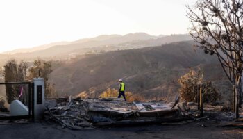 Schriftsteller T. C. Boyle über die Feuer in Los Angeles: Du kannst nicht jedes Mal Glück haben