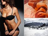 Secret depravity of the Davos global elite: More sex parties than ever, NDAs for prostitutes, transsexual women… and the most commonly-requested sex act revealed