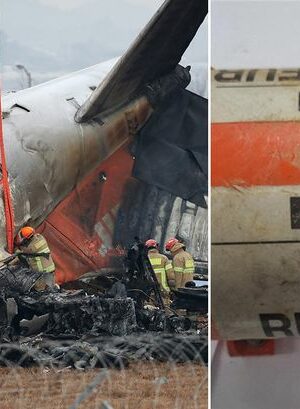 South Korea plane crash: Cockpit black box voice recordings could reveal cause of disaster