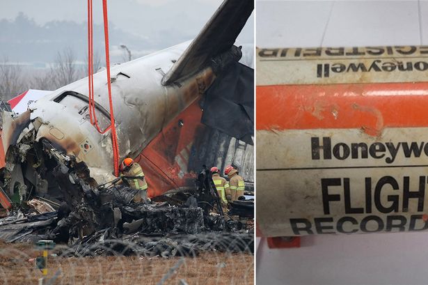 South Korea plane crash: Cockpit black box voice recordings could reveal cause of disaster