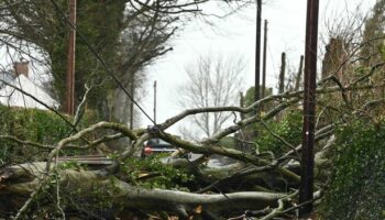 Storm Eowyn kills second victim as man dies after tree falls on his car in Ireland