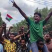 Sudan's armed forces retake strategic city from RSF