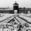 Survivors mark 80th anniversary of Auschwitz liberation