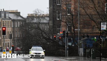 Teenager dies after car hit by falling tree