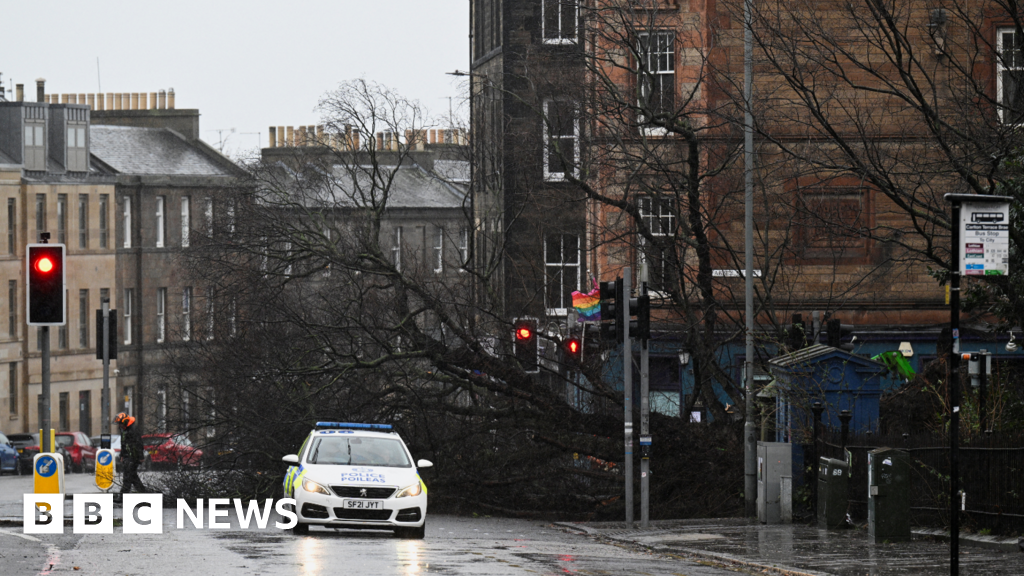 Teenager dies after car hit by falling tree