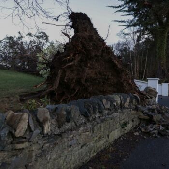 Tempête Eowyn : cinq départements en vigilance orange crue dans l’ouest de la France ; des destructions « sans précédent » en Irlande et en Ecosse