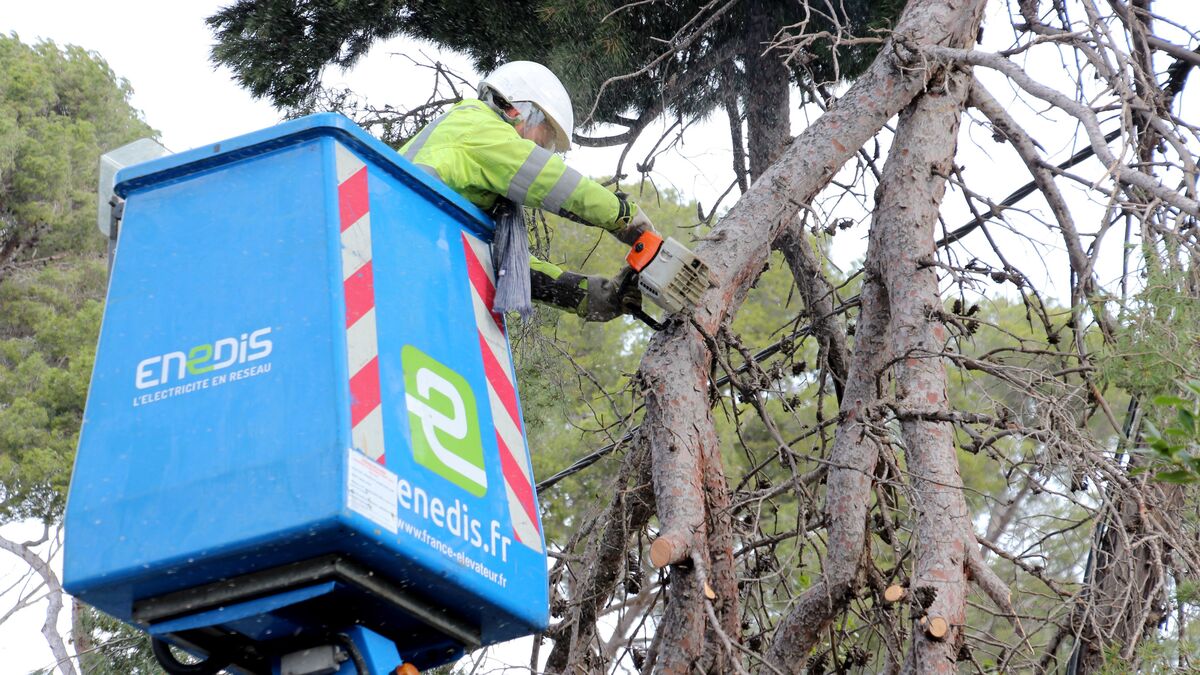 Tempête Floriane : encore « quelques centaines » de foyers privés de courant en Seine-et-Marne