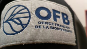 Tensions avec les agriculteurs : le siège de l’Office de la biodiversité tagué et incendié dans l’Aude