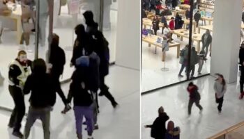 Terrified families flee as masked youths raid Apple store at busy shopping centre