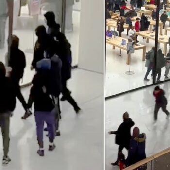 Terrified families flee as masked youths raid Apple store at busy shopping centre