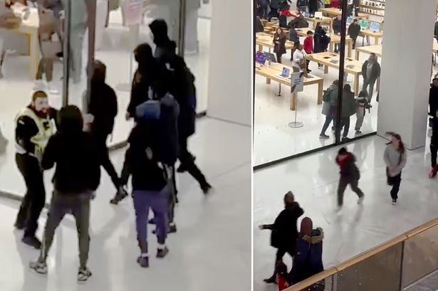 Terrified families flee as masked youths raid Apple store at busy shopping centre