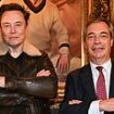 The end of the transatlantic Maga bromance? Elon Musk stuns Nigel Farage by demanding he is removed as Reform leader weeks after meeting about mega-donation - and suggests novice MP replace him