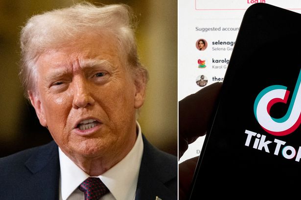 TikTok ban: Donald Trump 'likely' to use first day as President to give app extension on ban