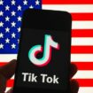 TikTok 'in the process' of returning to US users after going dark amid ban