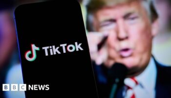 TikTok restores service in US after Trump pledge