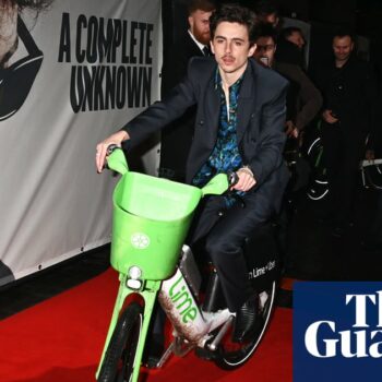 Timothée Chalamet’s red-carpet ride adds to Lime bikes’ ‘fashion credentials’