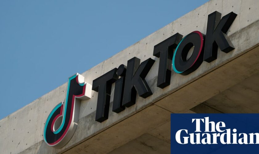 Trump says he will likely grant TikTok a 90-day reprieve from US ban when he takes office