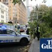 Two injured by falling tree amid strong winds at Sydney’s Hyde Park