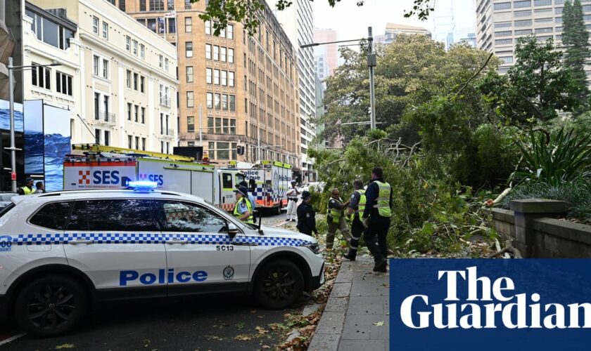 Two injured by falling tree amid strong winds at Sydney’s Hyde Park