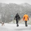 UK snow: New maps turn purple as Arctic blast set for chaotic return in days