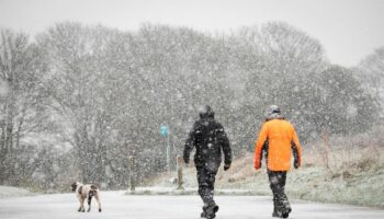 UK snow: New maps turn purple as Arctic blast set for chaotic return in days