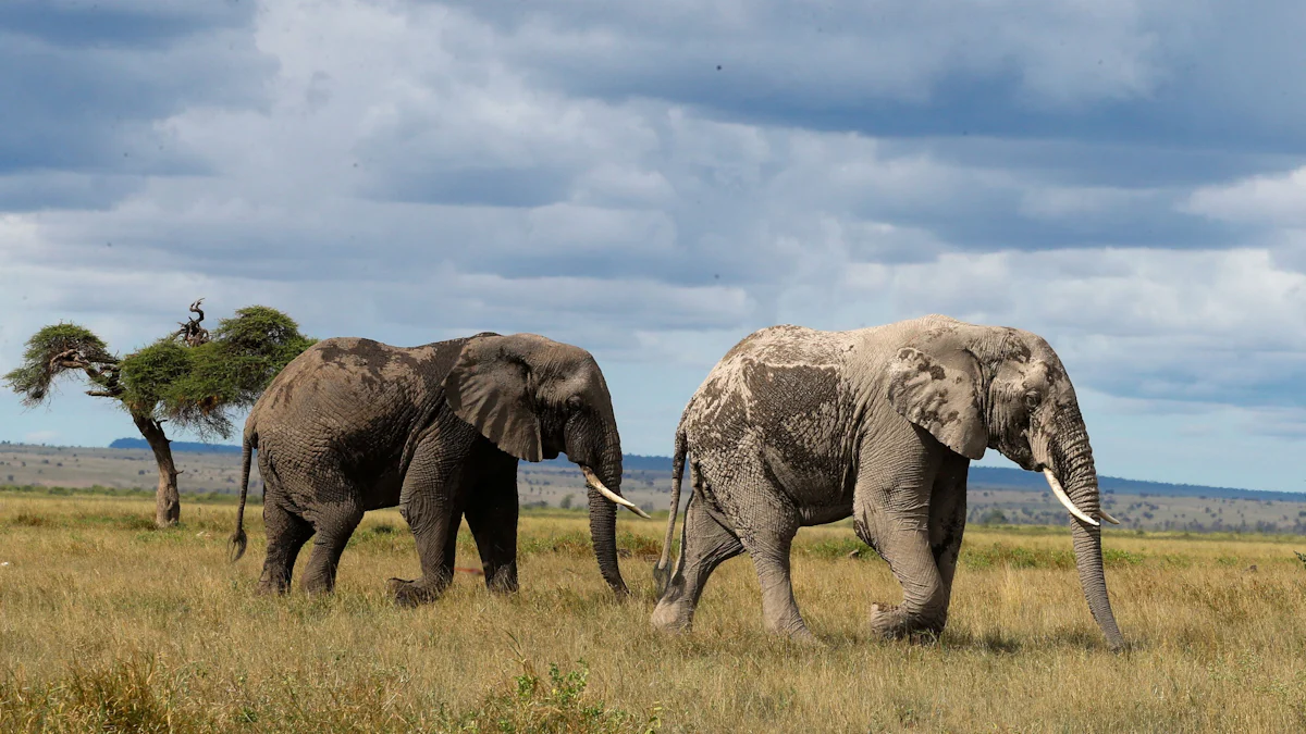 Umwelt: Wenn die Natur zur Ware wird