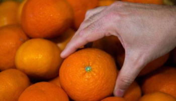 Un frutero explica cómo identificar si una mandarina está jugosa con tan solo tocarla: «Si la palpáis por aquí...»