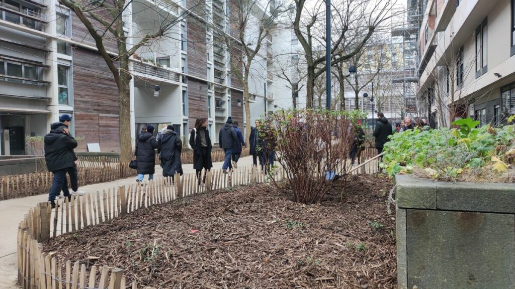 « Un impératif de santé publique » : à Paris, la végétalisation passe aussi par les logements sociaux