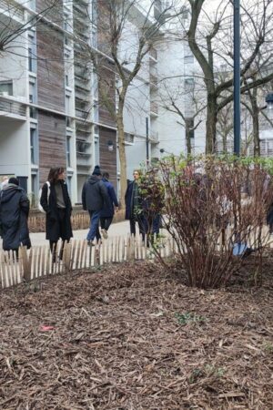 « Un impératif de santé publique » : à Paris, la végétalisation passe aussi par les logements sociaux