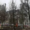 « Un nouveau paysage » : à Paris, les premiers arbres de la « forêt urbaine » de l’Hôtel de Ville sont plantés