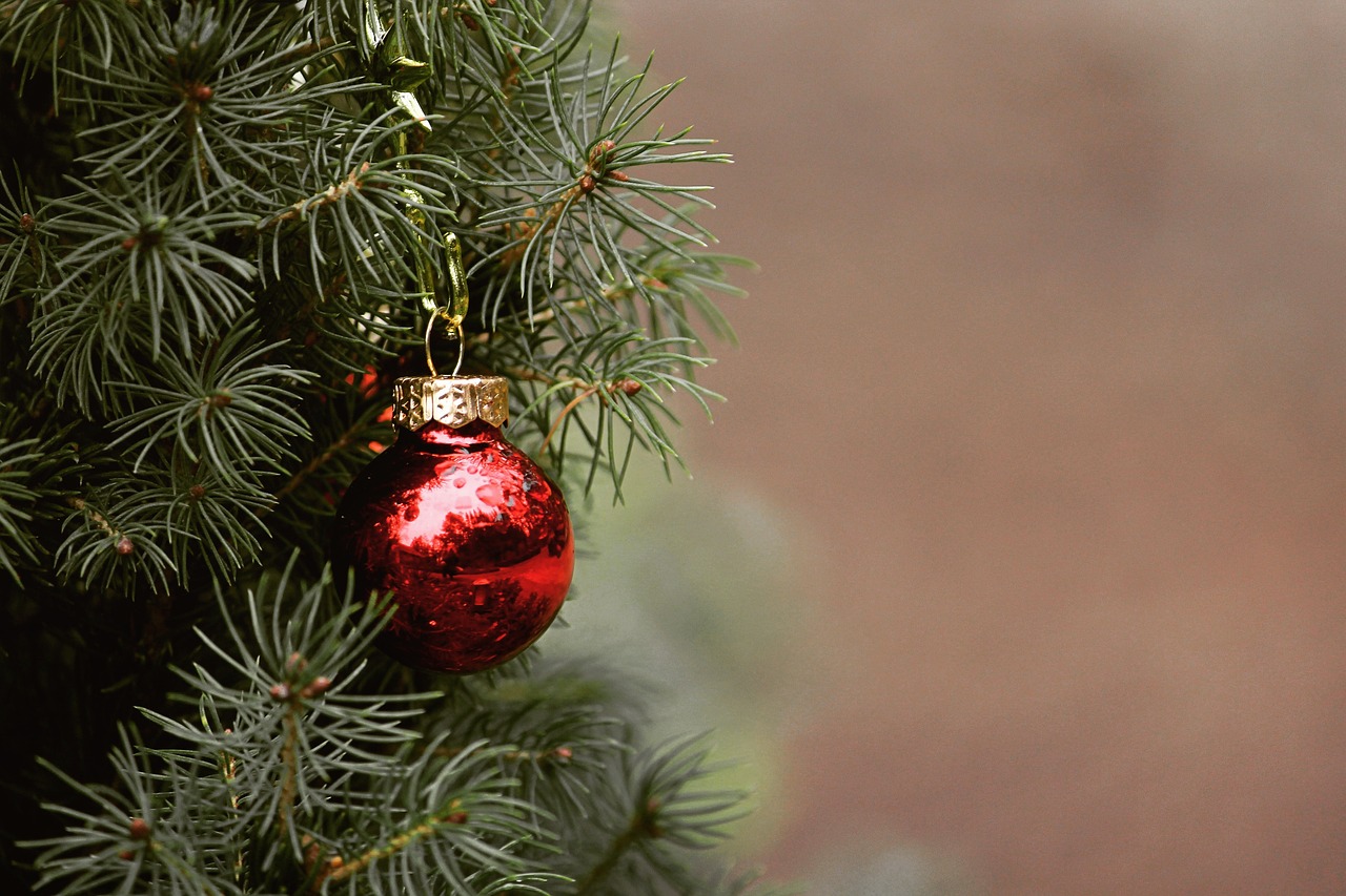 Une vraie histoire belge: "Mangez vos sapins de Noël" : les autorités recadrent la ville de Gand